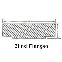 ANSI/ ASME B16.5 150 Blind Flanges Supplier